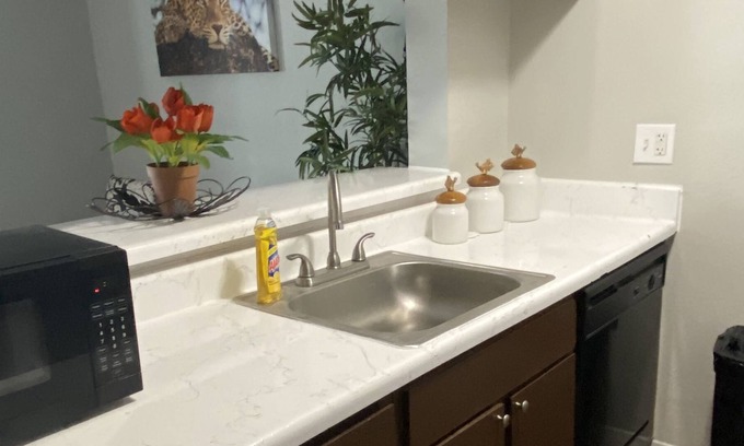 Astrodome Apartment | 2bed 1bth (Safari Room)