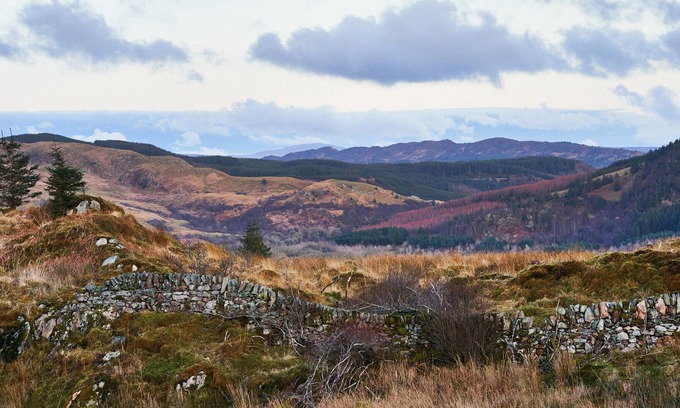 Lochgilphead Cottage | 3 bedroom accommodation in Kilmichael Glassary, near Lochgilphead