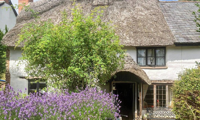 Cullompton Cottage | 3 bedroom accommodation in Cullompton