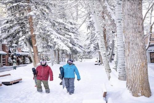 Aspen Hotel | 3 Bedroom Mountain Residence In The Heart Of Aspen With Amenities Including Heated Pool, Hot Tubs, Game Room And Spa