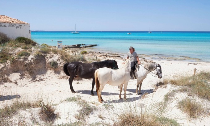 Ses Salines Cottage | 3 km de la playa d'es Trenc y de la Colonia de st Jordi