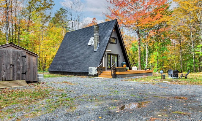 Perkinsville Cabin | 3 Mi to Weathersfield Trails: Dog-Friendly Cabin!