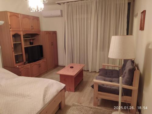Jozsef Attila-lakotelep Apartment | 4 turtles apartman