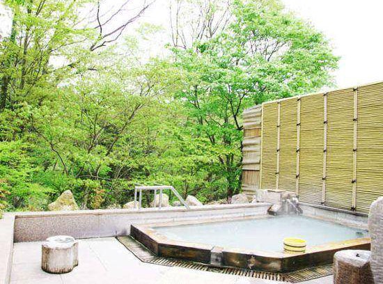 Nasushiobara Hotel | 42 m² Hotel ∙ 10 guests