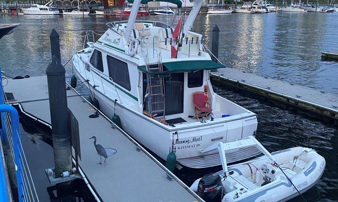 Fairview Boat Rental | 46’ motor yacht (6 hour charter tour)