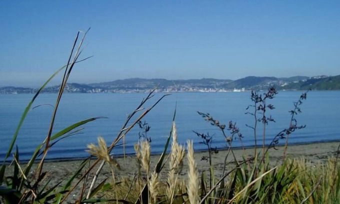 Petone Hotel | 83 By the Sea Motor Lodge