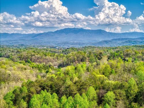 Sevierville House | A Bliss - Hot Tub, Game Room, WIFI, Resort Pool, FREE attraction tickets!
