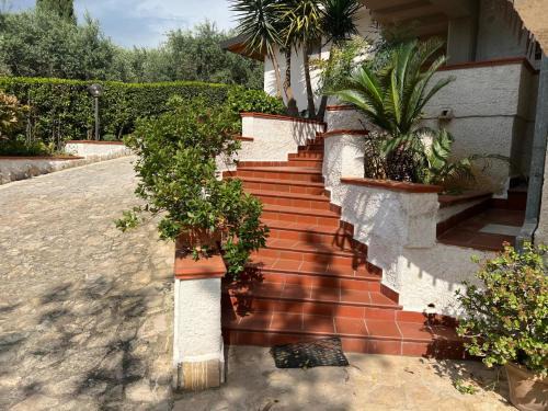 Fondi House | A CASA MIA