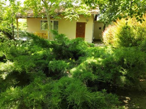 Primorski House | A charming and peaceful summer villa 400m from the sea