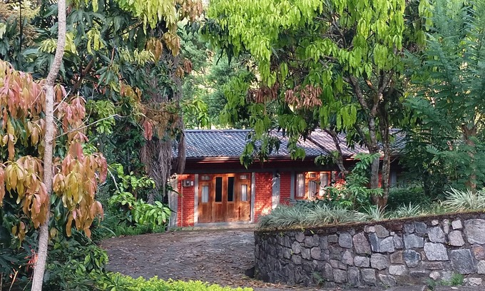 Kandy Ski Chalet | A forest stay, one sip at a time! Warm hospitality in a calm and serene setting.