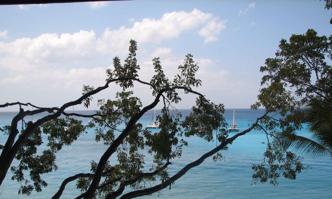 Old Trees Bay Villa | A Luxurious Three-Bedroom, Three Bathroom Apartment