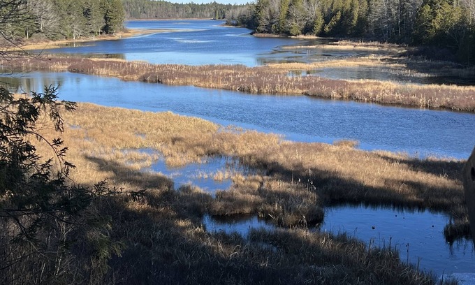 East Central Washington Cabin | A perfect getaway in beautiful Maine