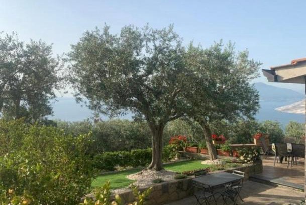 Priora Bed & Breakfast | A Sorrento B&B,relaxing location with Seaview