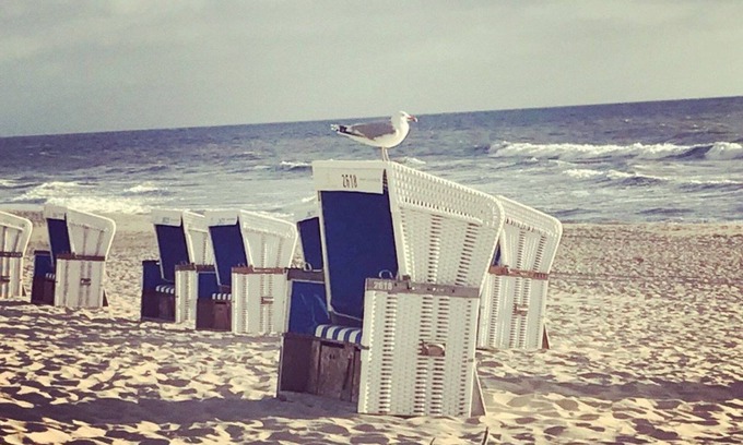 Westerland Apartment | Abendsonne