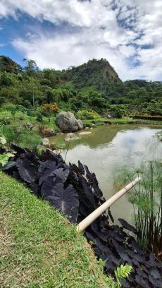 La Vega Hotel | Acualandia Fish