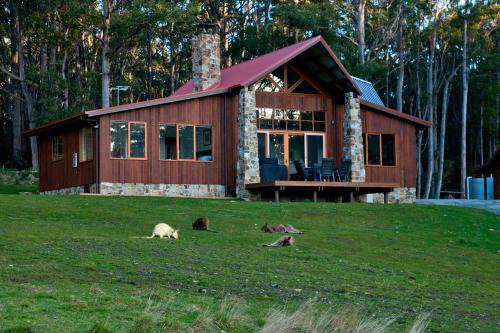 Adventure Bay Cabin | Adventure Bay Retreat Bruny Island