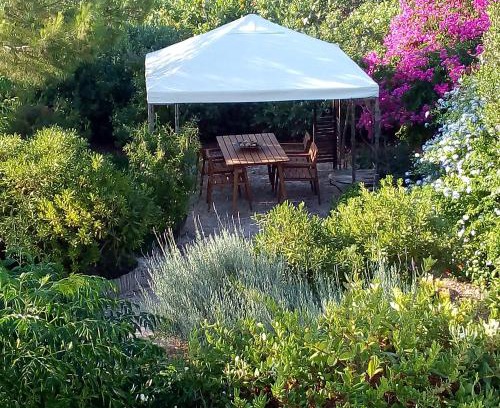Aegina House | Aegina's Oasis