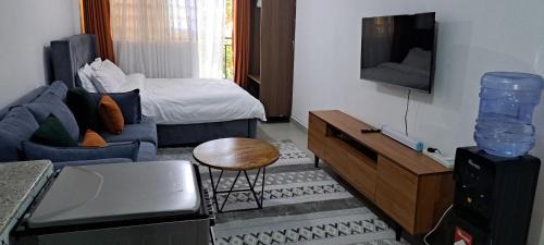 Kasarani Apartment | Affordable Studio Apartment Kasarani Seasons