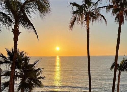 Buenavista Hotel | Agave Hotel Club