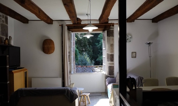 Vic-sur-Cere House | Agréable Maison de Ville de la Vallée de la Cère