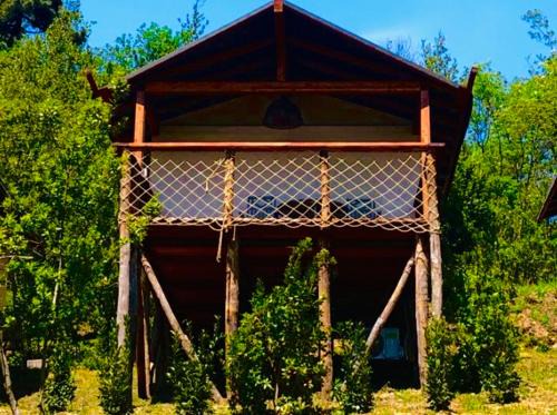 Serravalle Pistoiese Other | AgriGlamping La Diaccia