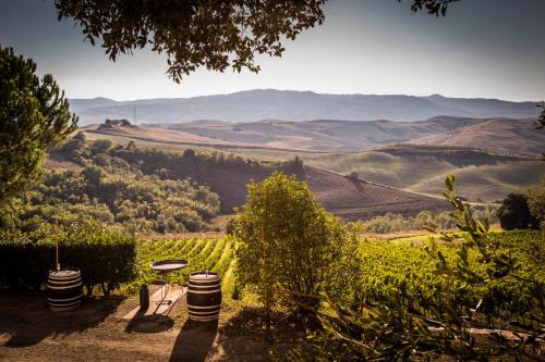 Terricciola House | Agriturismo Pieve de Pitti