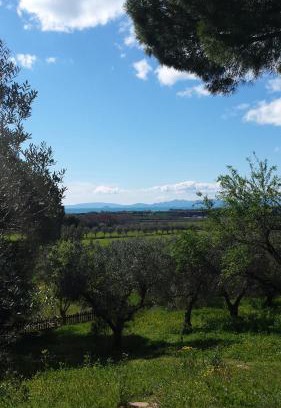Riotorto Apartment | Agriturismo Tenuta di Vignale