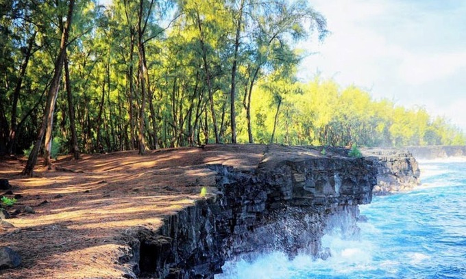 Keaau Apartment | AirCon, Modern STUDIO in fabulous Kaloli Point, next to Trailhead to Shipman Bch