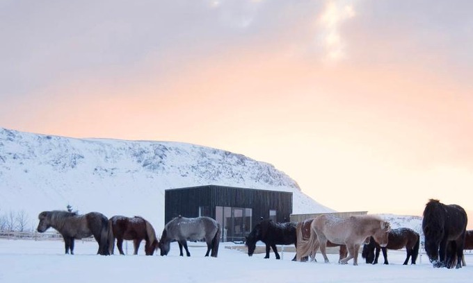 Sveitarfelagid Olfus House | Akurgerði Guesthouse 4 - Country Life Style