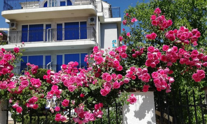 Kiten Hotel | Albatros 2 Family Hotel