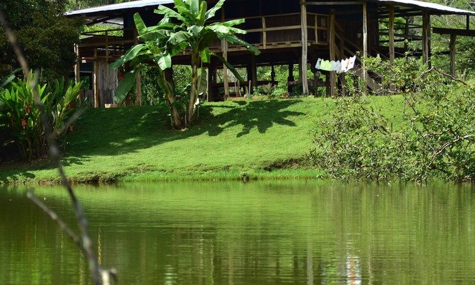 Puerto Jimenez House | Albergue La Laguna Corcovado Park