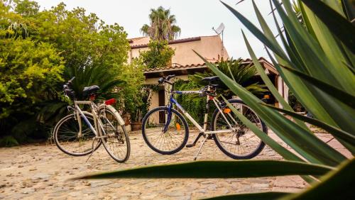Alghero Bed & Breakfast | Alghero in bicicletta