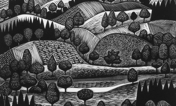 Quintero Cabin | Algodon 3M