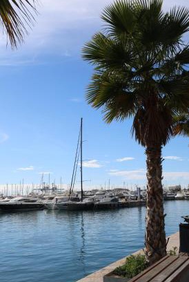 Alicante House | Alicantan Vital Experience