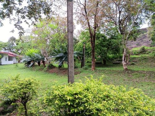 Wilgamuwa Hotel | Aligama Cottage