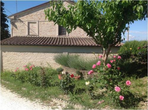 Bettolelle House | All'ombra degli Ulivi B&B