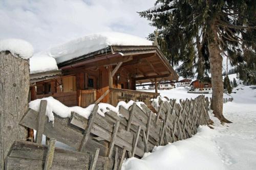 Hollersbach im Pinzgau Ski Chalet | Almliesl HOLL-361