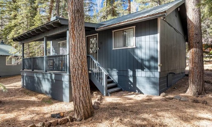 Greer Ski Chalet | Alpine Aspen Cabin 5