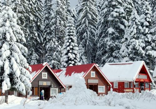 Borovets Villa | Alpine ski chalet Borovets with sauna