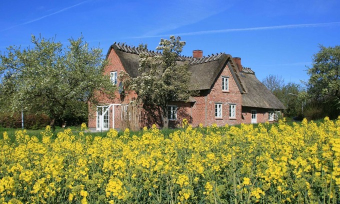 Stenderup House | Altes Schusterhus - Ferienhaus Altes Schusterhus