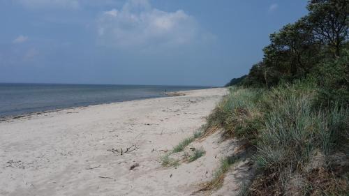 Dassow Apartment | Am Pool und Strand 11