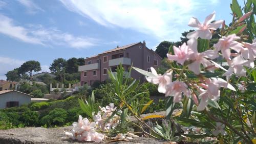 Veli Losinj Apartment | Amaryllis residence, apartment Diana & Deluxe rooms with shared kitchen