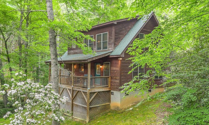 Fleetwood Cabin | Among the Laurels and Trees: Private Hot Tub + Fire Pit