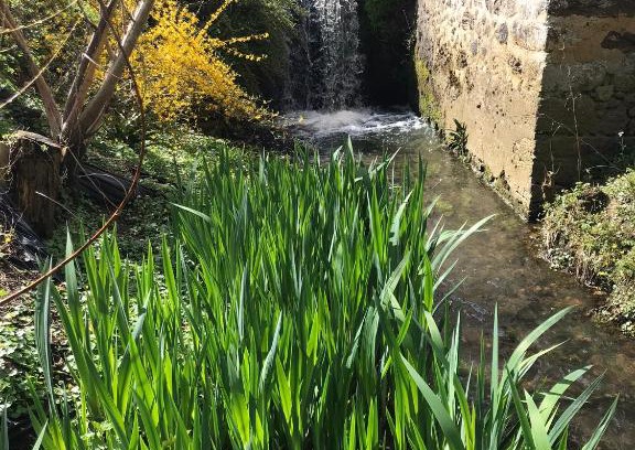 Asse-le-Riboul Apartment | Ancien moulin du 18 ieme