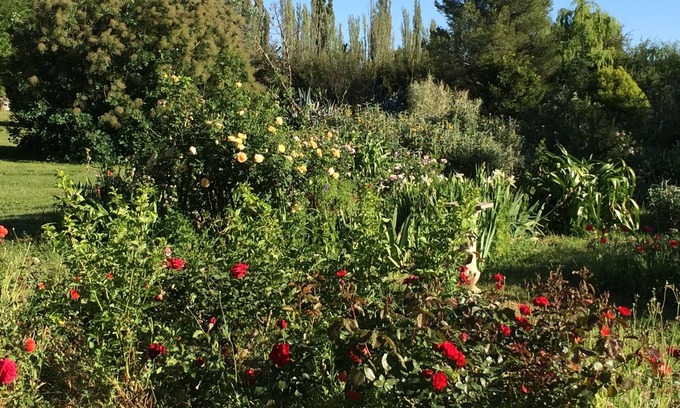 San Rafael Other | Andes Lands