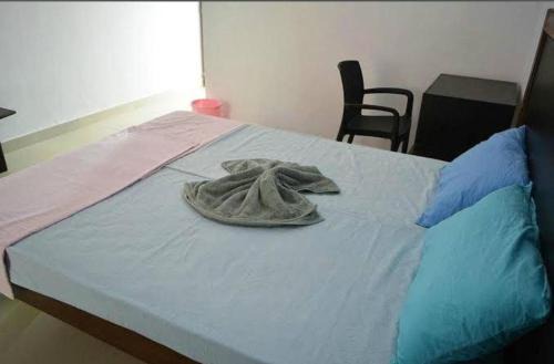 Anjuna House | Anjuna Plaza Hotel