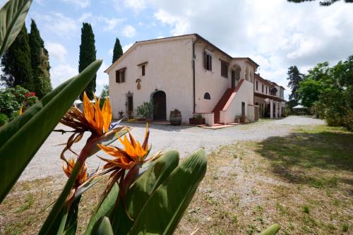 San Vincenzo House | Antichi Palmenti - Erica