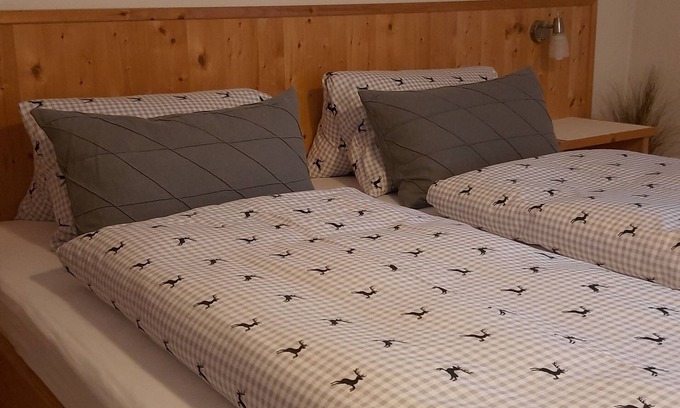 Ried im Zillertal Apartment | APART KOPP - 1 APARTMENT 2 - 4 pers. Close to the ski area - HOCHZILLERTAL- central location