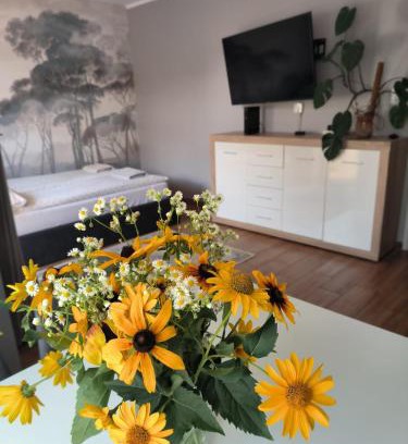 Mikolajki Apartment | Apartament 25 Mikołajki