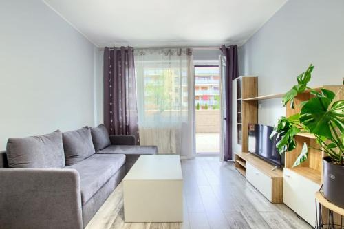 Torun Apartment | Apartament Strefa Czasu